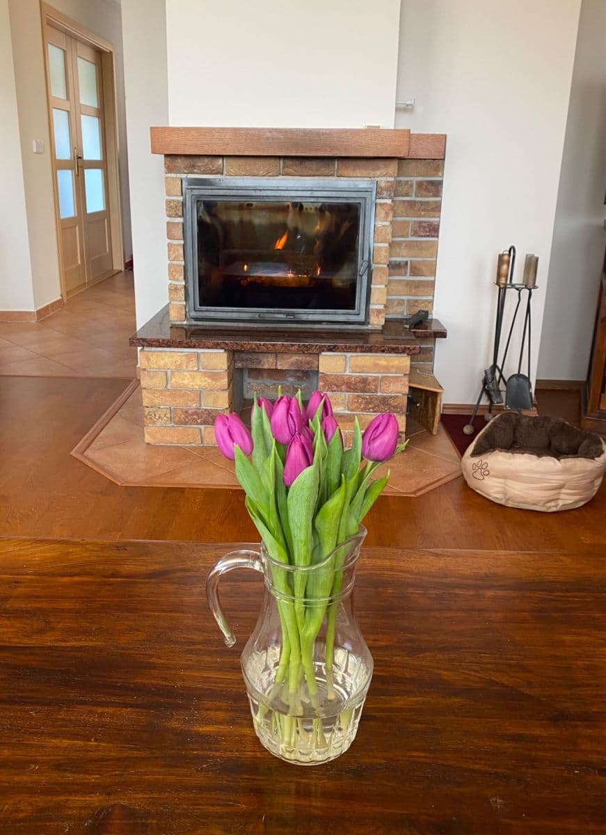 Prodej domu 114 m², pozemek 905 m², Mnichovo Hradiště, Středočeský kraj Prodej domu 114 m², pozemek 905 m², Mnichovo Hradiště, Středočeský kraj