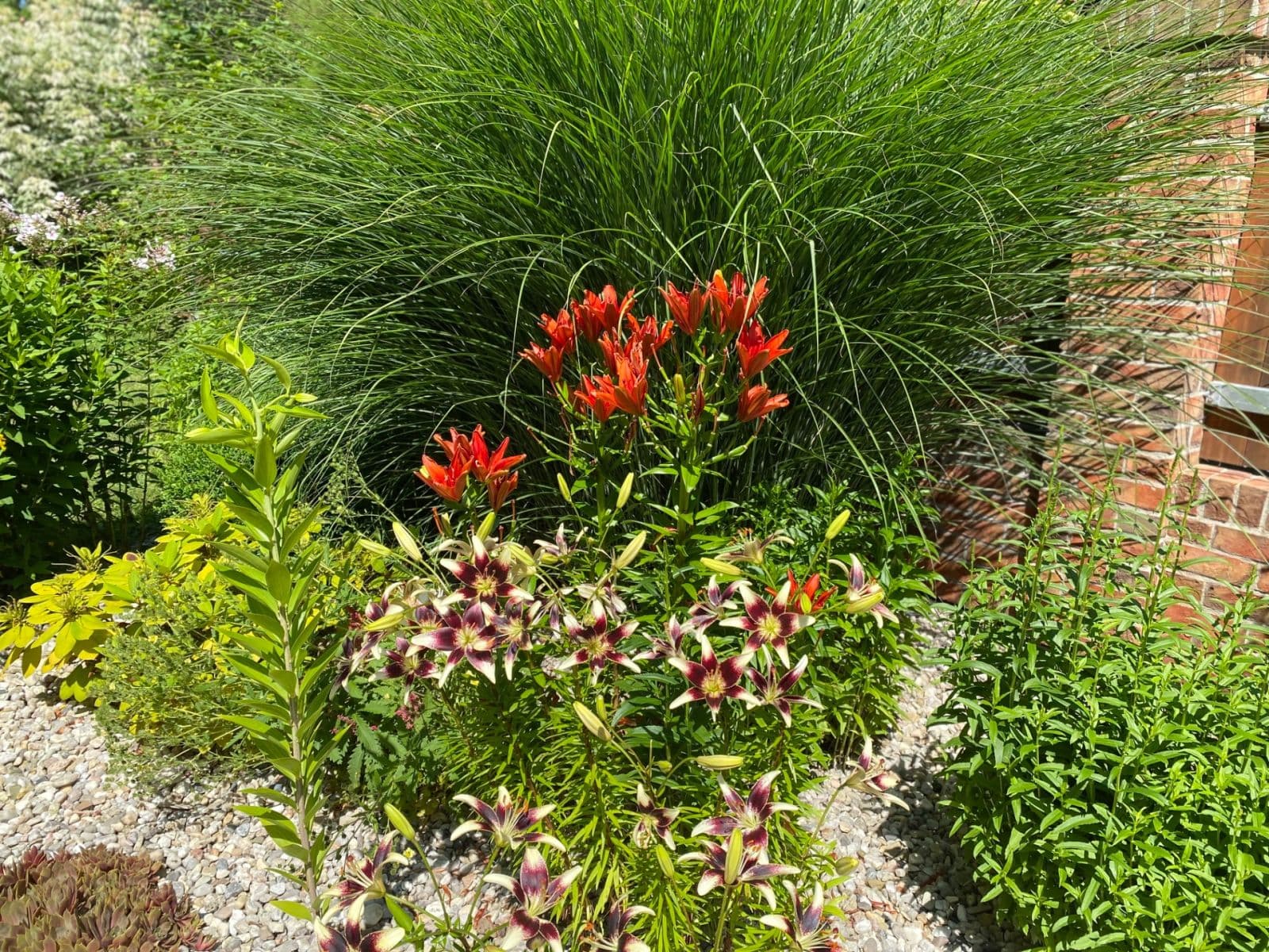 Prodej domu 114 m², pozemek 905 m², Mnichovo Hradiště, Středočeský kraj Prodej domu 114 m², pozemek 905 m², Mnichovo Hradiště, Středočeský kraj