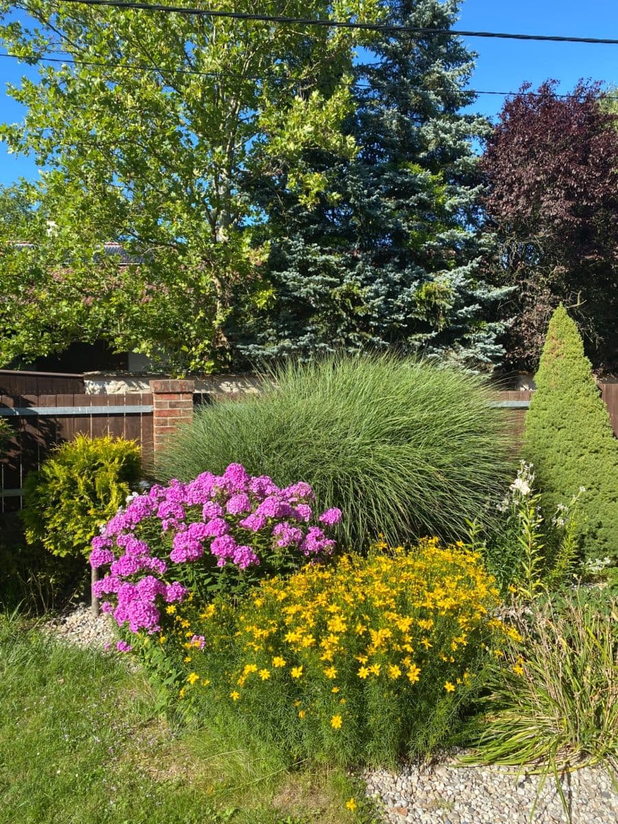 Prodej domu 114 m², pozemek 905 m², Mnichovo Hradiště, Středočeský kraj Prodej domu 114 m², pozemek 905 m², Mnichovo Hradiště, Středočeský kraj