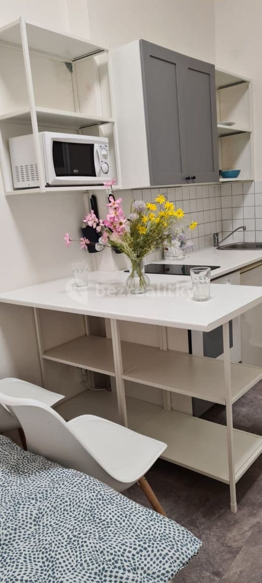 Pronájem bytu 1+kk 20 m², Na Výšinách, Praha, Praha Pronájem bytu 1+kk 20 m², Na Výšinách, Praha, Praha
