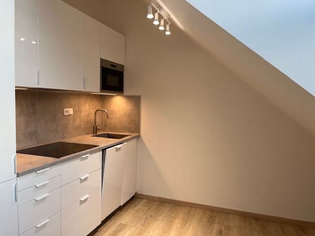 Pronájem bytu 1+kk 22 m², Studentská, Praha, Praha Pronájem bytu 1+kk 22 m², Studentská, Praha, Praha
