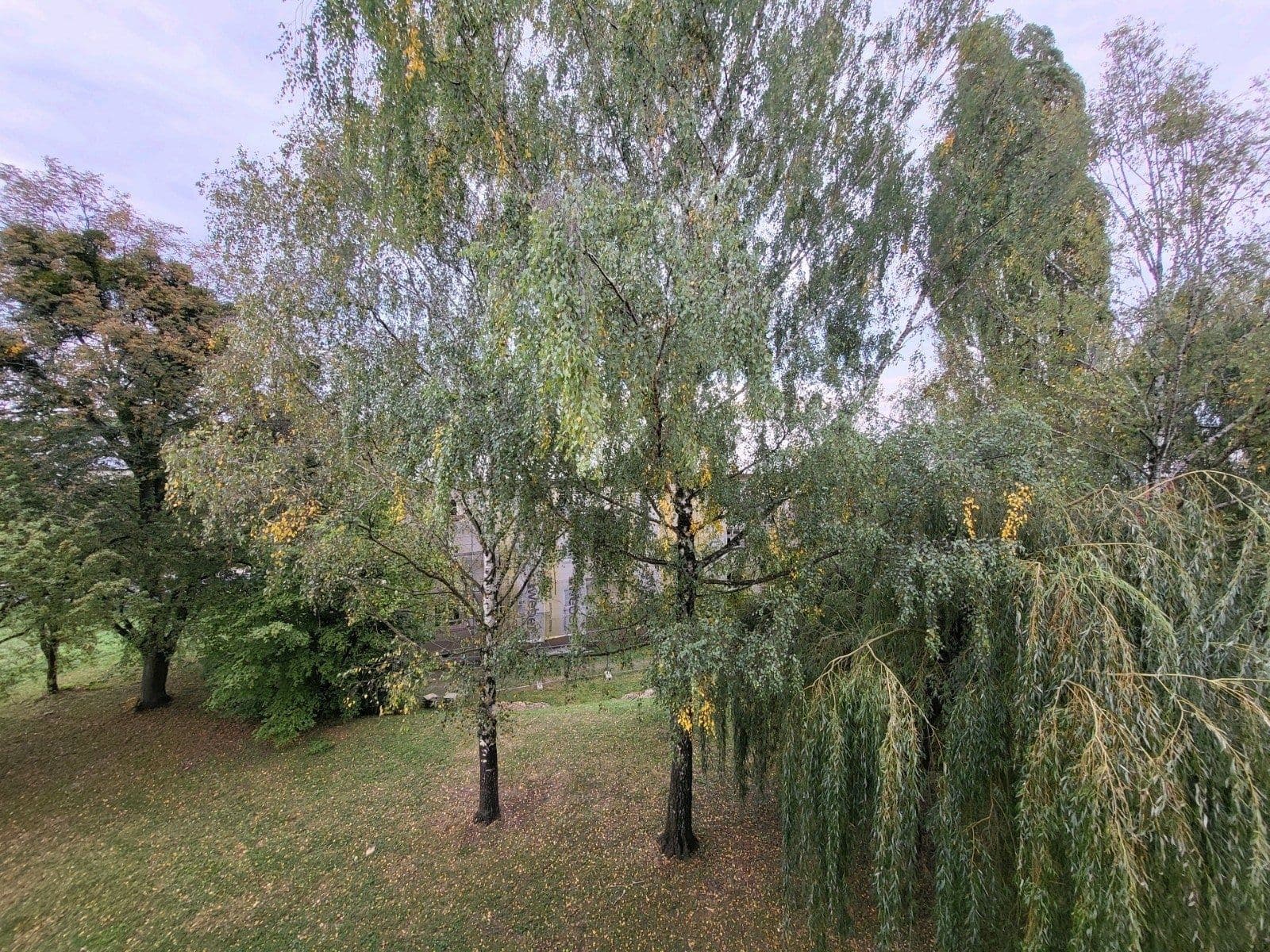 Pronájem bytu 1+1 27 m², Sýkorova, Havířov, Moravskoslezský kraj Pronájem bytu 1+1 27 m², Sýkorova, Havířov, Moravskoslezský kraj