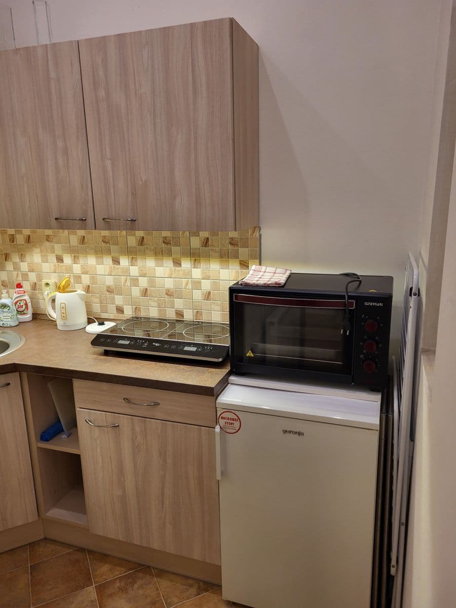 Pronájem bytu 48 m², Františka Křížka, Praha, Praha Pronájem bytu 48 m², Františka Křížka, Praha, Praha