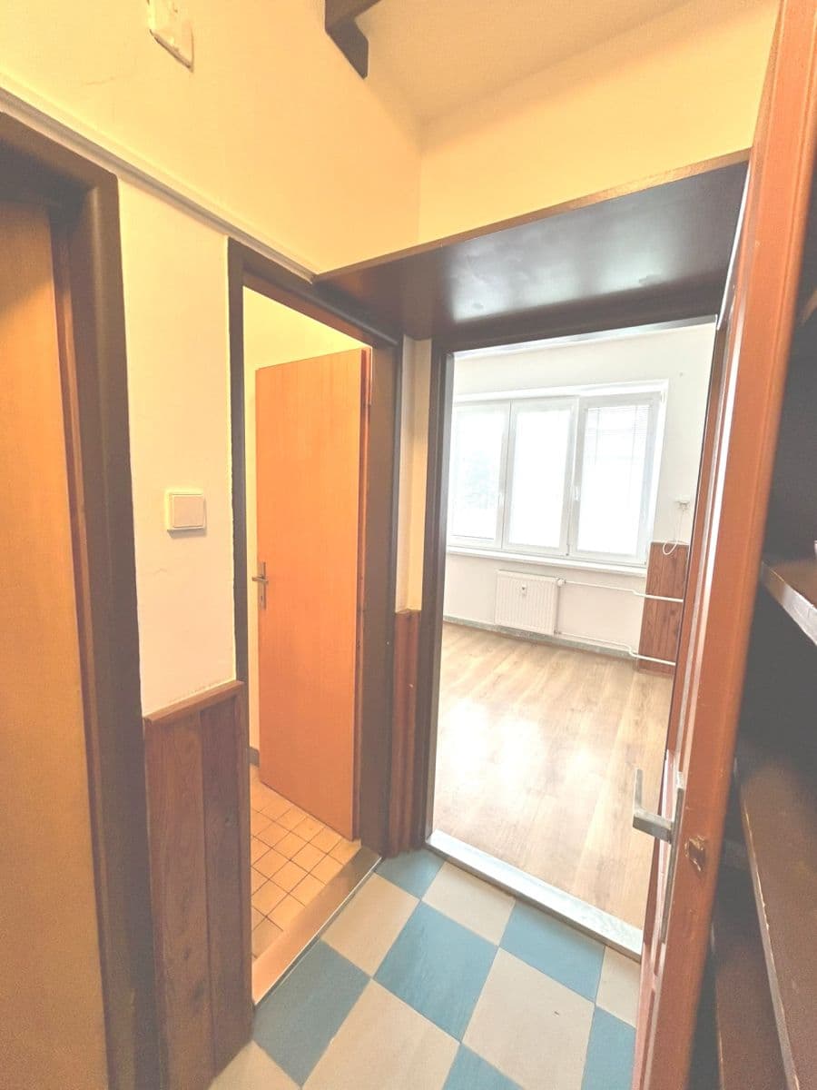 Pronájem bytu 2+1 57 m², Mánesova, Brno, Jihomoravský kraj Pronájem bytu 2+1 57 m², Mánesova, Brno, Jihomoravský kraj