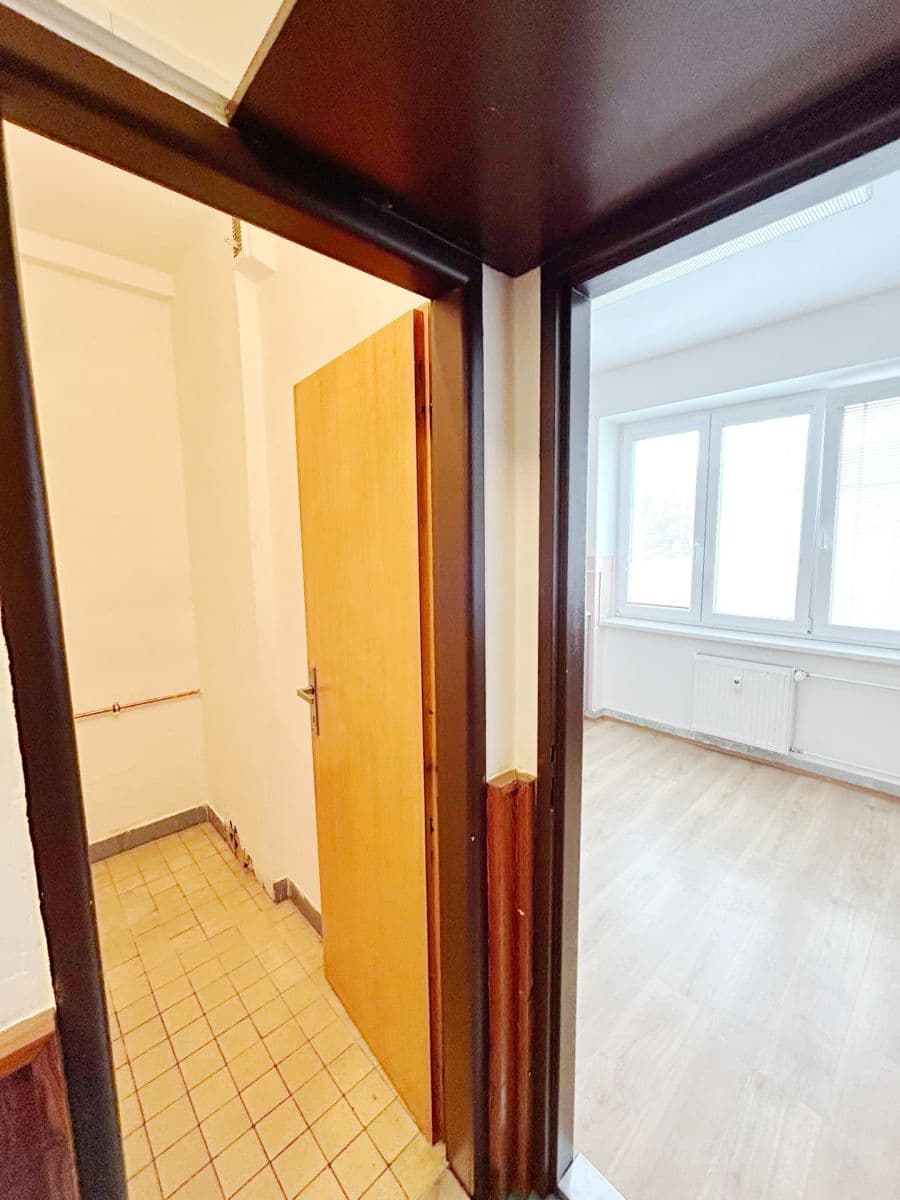 Pronájem bytu 2+1 57 m², Mánesova, Brno, Jihomoravský kraj Pronájem bytu 2+1 57 m², Mánesova, Brno, Jihomoravský kraj