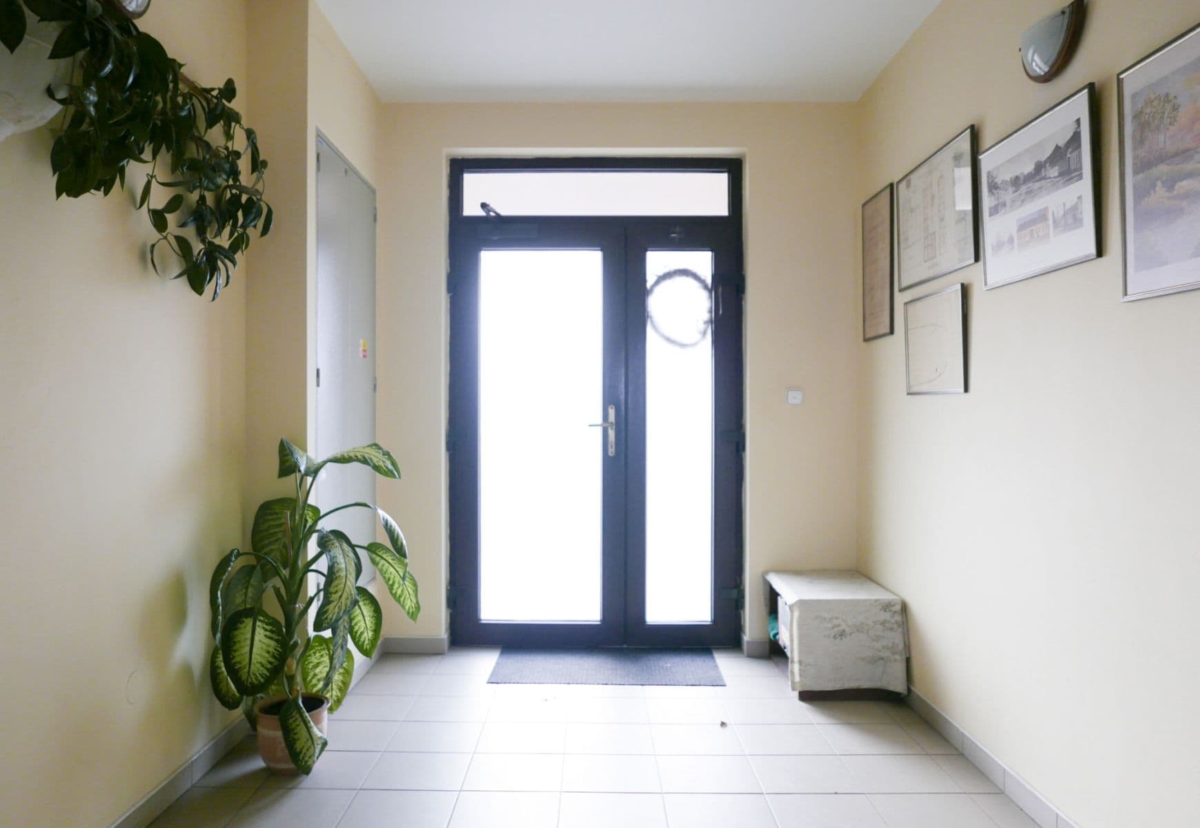 Pronájem bytu 45 m², Vančurova, Brno, Jihomoravský kraj Pronájem bytu 45 m², Vančurova, Brno, Jihomoravský kraj