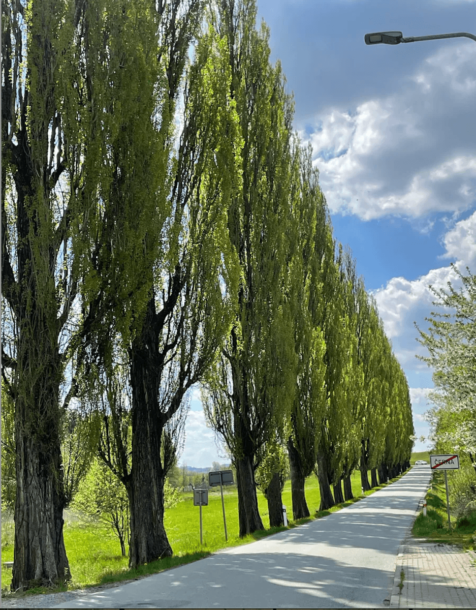 Prodej bytu 2+kk 52 m², Černá, Kraj Vysočina Prodej bytu 2+kk 52 m², Černá, Kraj Vysočina