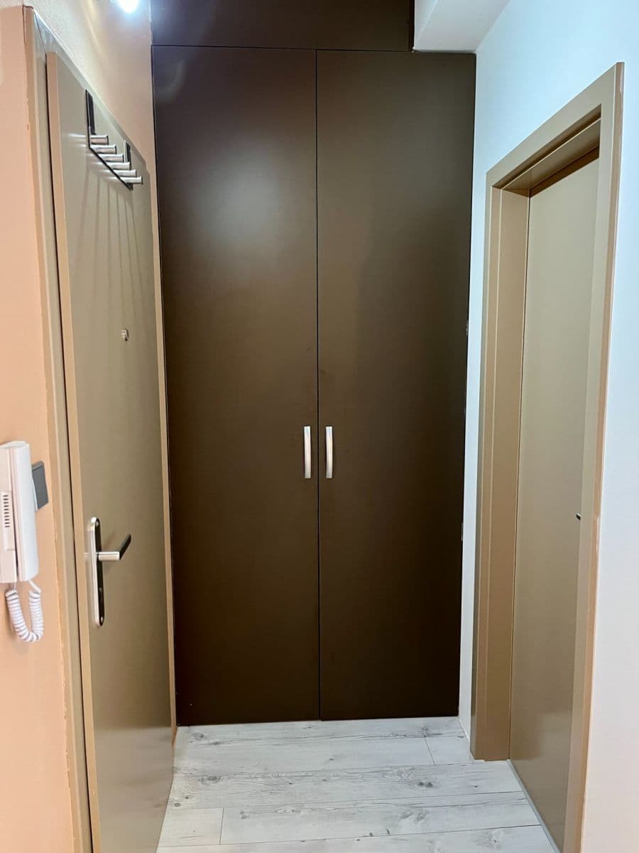 Pronájem bytu 1+kk 37 m², Sudova, Plzeň, Plzeňský kraj Pronájem bytu 1+kk 37 m², Sudova, Plzeň, Plzeňský kraj