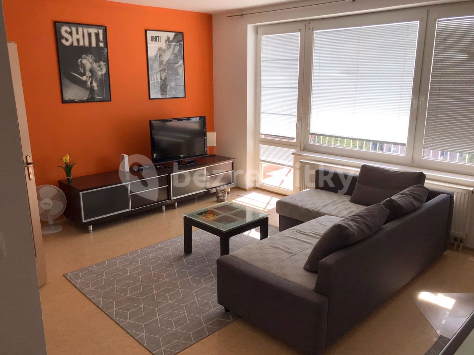 Pronájem bytu 1+kk 36 m², Bělohorská, Brno, Jihomoravský kraj Pronájem bytu 1+kk 36 m², Bělohorská, Brno, Jihomoravský kraj