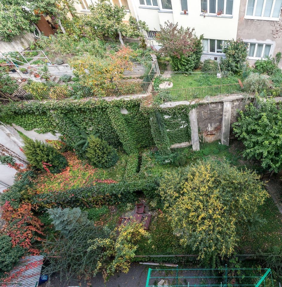 Pronájem bytu 50 m², Pekařská, Brno, Jihomoravský kraj Pronájem bytu 50 m², Pekařská, Brno, Jihomoravský kraj