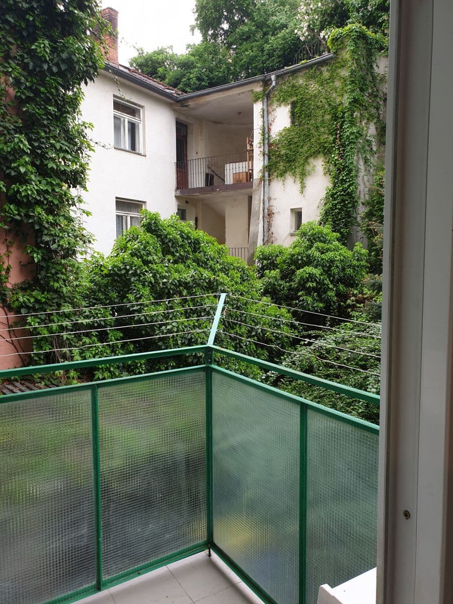 Pronájem bytu 50 m², Pekařská, Brno, Jihomoravský kraj Pronájem bytu 50 m², Pekařská, Brno, Jihomoravský kraj