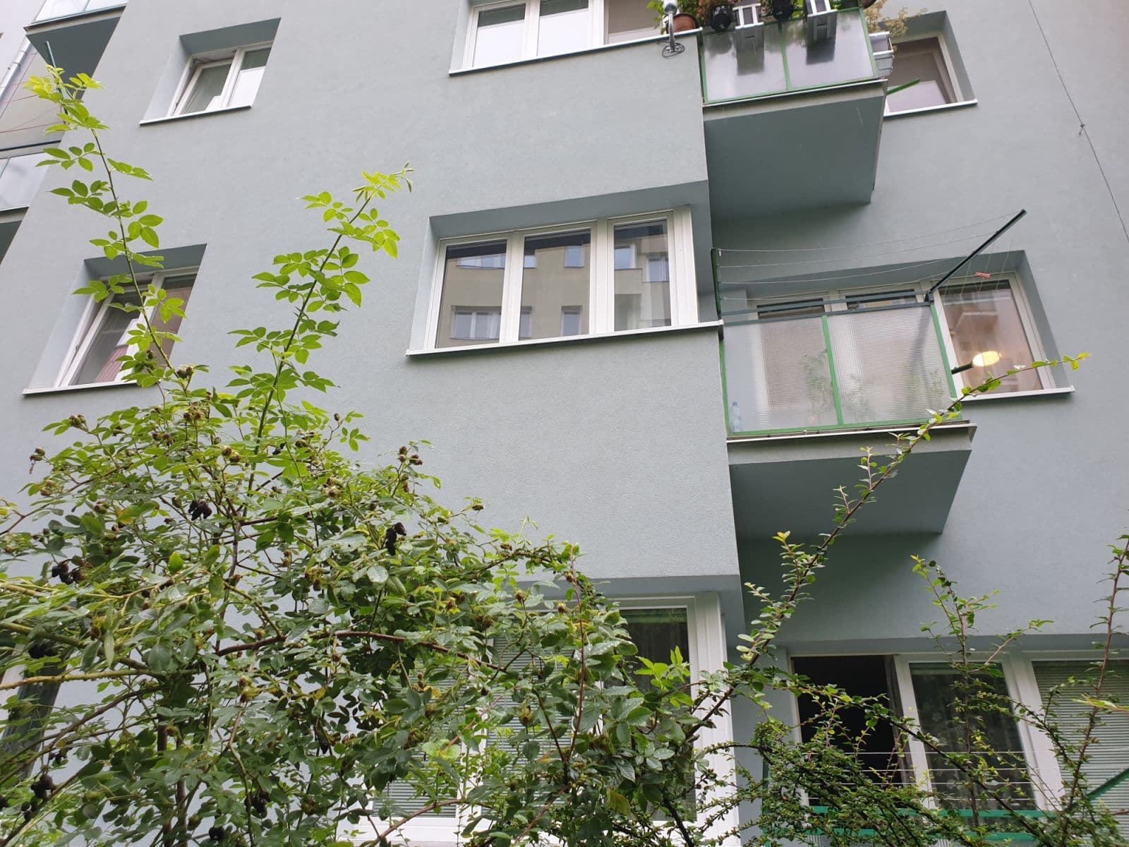 Pronájem bytu 50 m², Pekařská, Brno, Jihomoravský kraj Pronájem bytu 50 m², Pekařská, Brno, Jihomoravský kraj