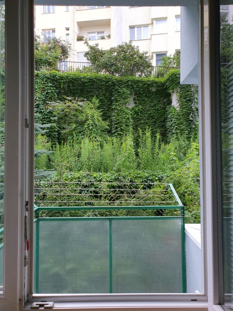 Pronájem bytu 50 m², Pekařská, Brno, Jihomoravský kraj Pronájem bytu 50 m², Pekařská, Brno, Jihomoravský kraj