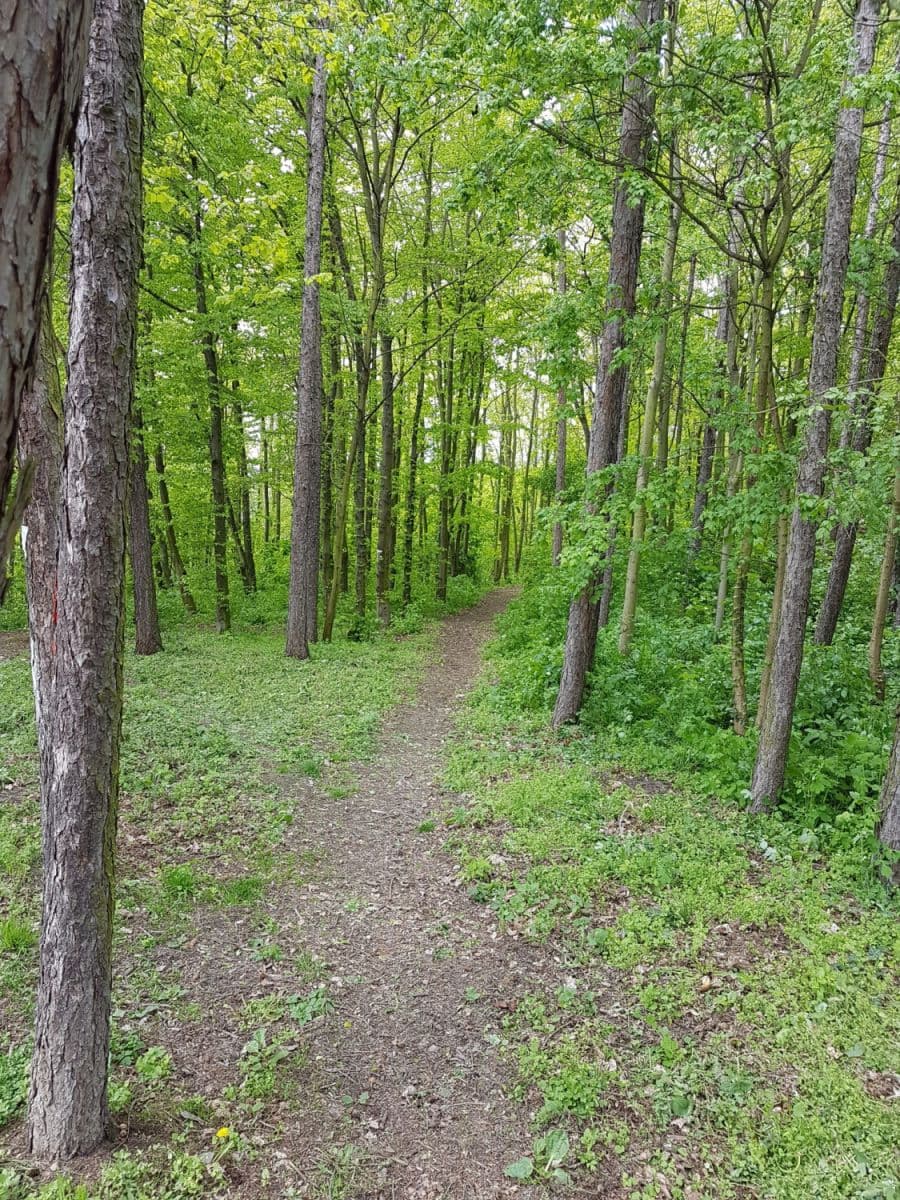 Pronájem bytu 60 m², Šárecká, Praha, Praha Pronájem bytu 60 m², Šárecká, Praha, Praha