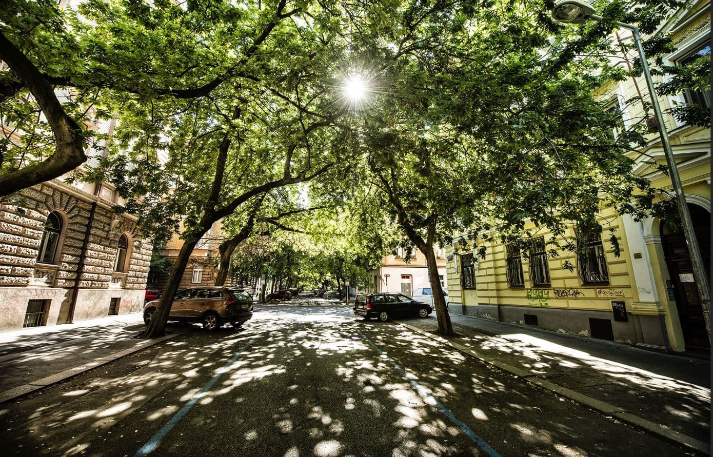 Pronájem bytu 110 m², Mánesova, Praha, Praha Pronájem bytu 110 m², Mánesova, Praha, Praha