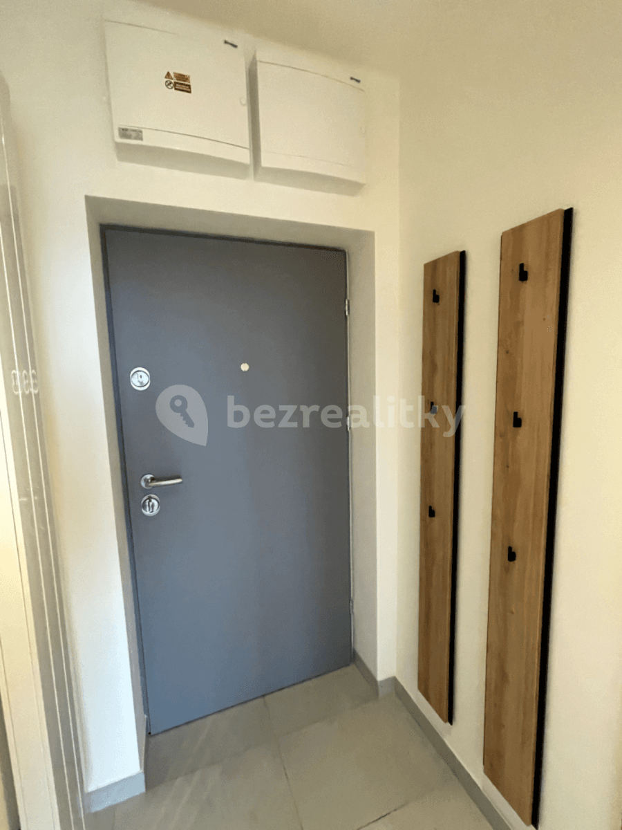 Pronájem bytu 1+1 47 m², Řepova, Brno, Jihomoravský kraj Pronájem bytu 1+1 47 m², Řepova, Brno, Jihomoravský kraj