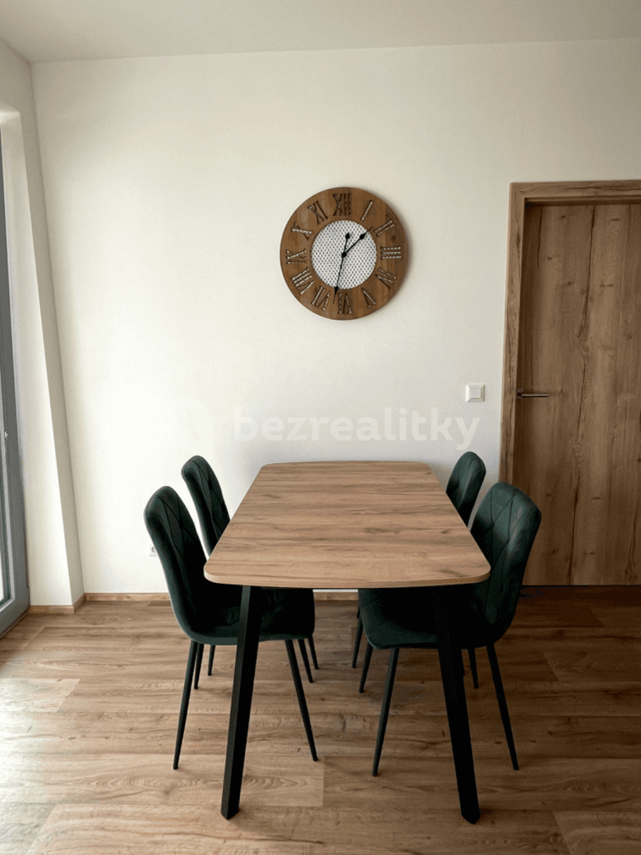 Pronájem bytu 1+1 47 m², Řepova, Brno, Jihomoravský kraj Pronájem bytu 1+1 47 m², Řepova, Brno, Jihomoravský kraj