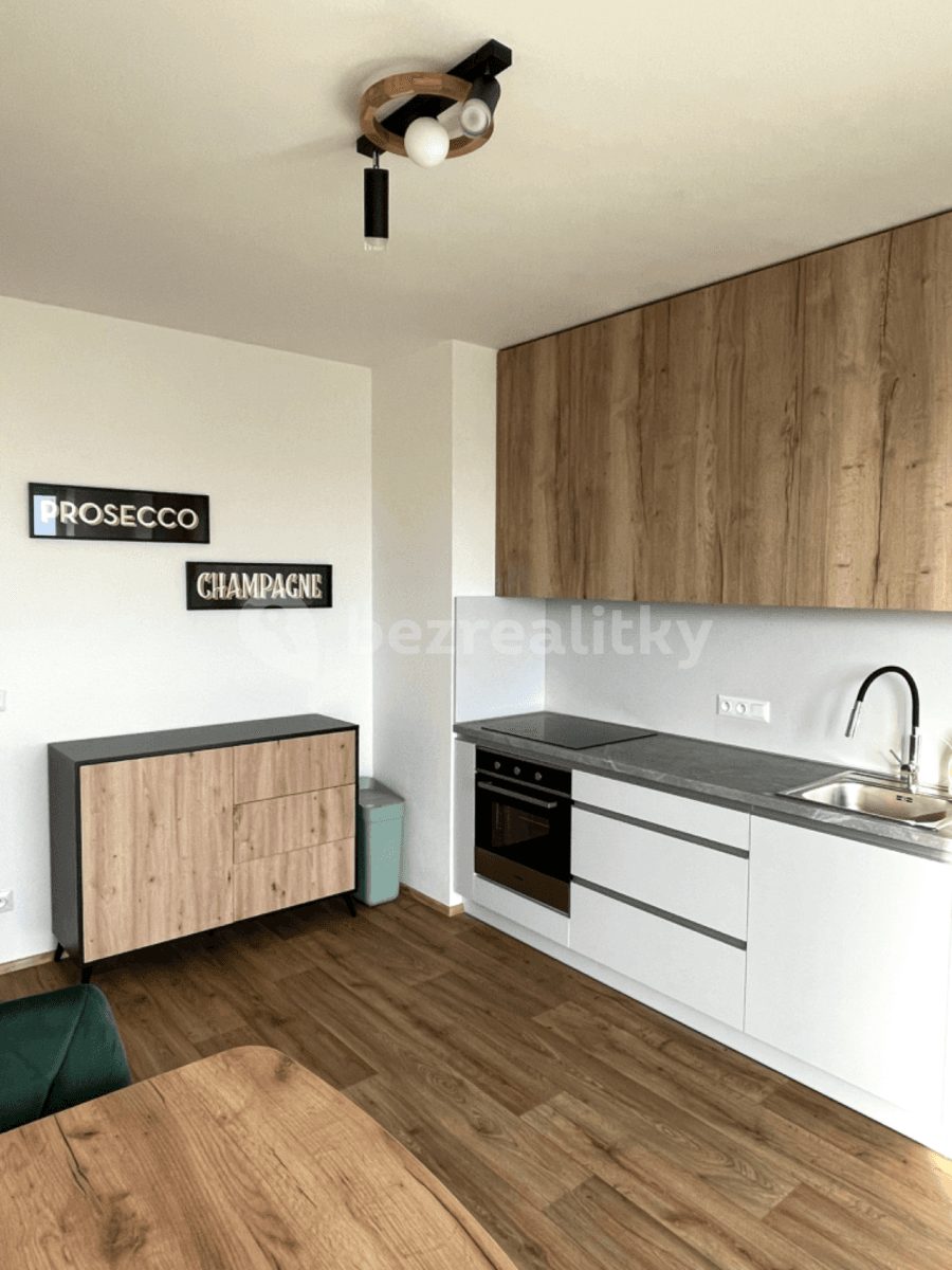 Pronájem bytu 1+1 47 m², Řepova, Brno, Jihomoravský kraj Pronájem bytu 1+1 47 m², Řepova, Brno, Jihomoravský kraj