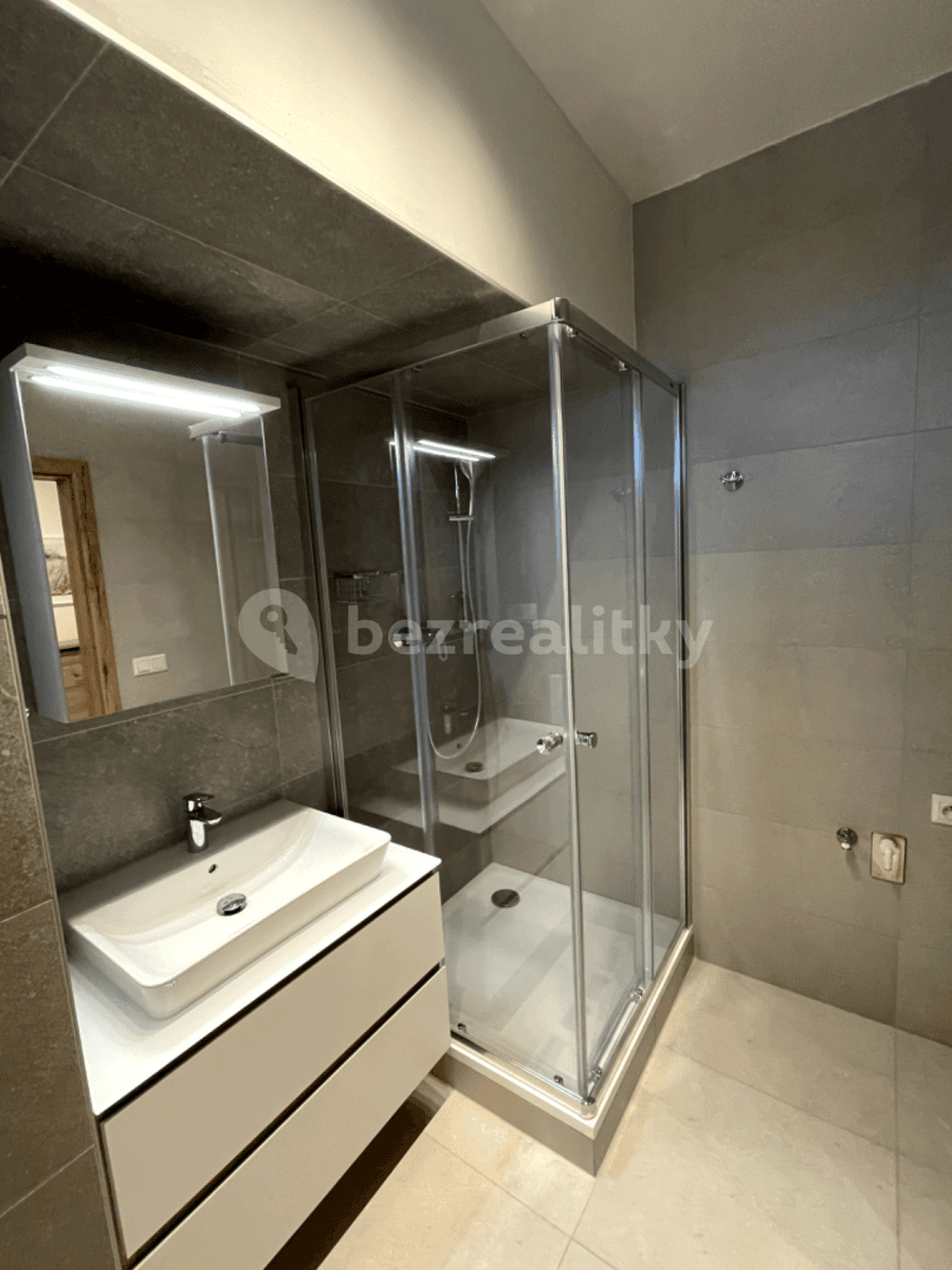 Pronájem bytu 1+1 47 m², Řepova, Brno, Jihomoravský kraj Pronájem bytu 1+1 47 m², Řepova, Brno, Jihomoravský kraj