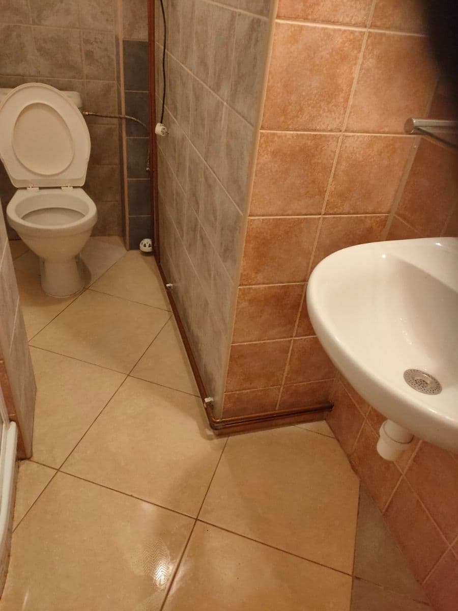 Pronájem bytu 1+1 40 m², Hartigova, Praha, Praha Pronájem bytu 1+1 40 m², Hartigova, Praha, Praha