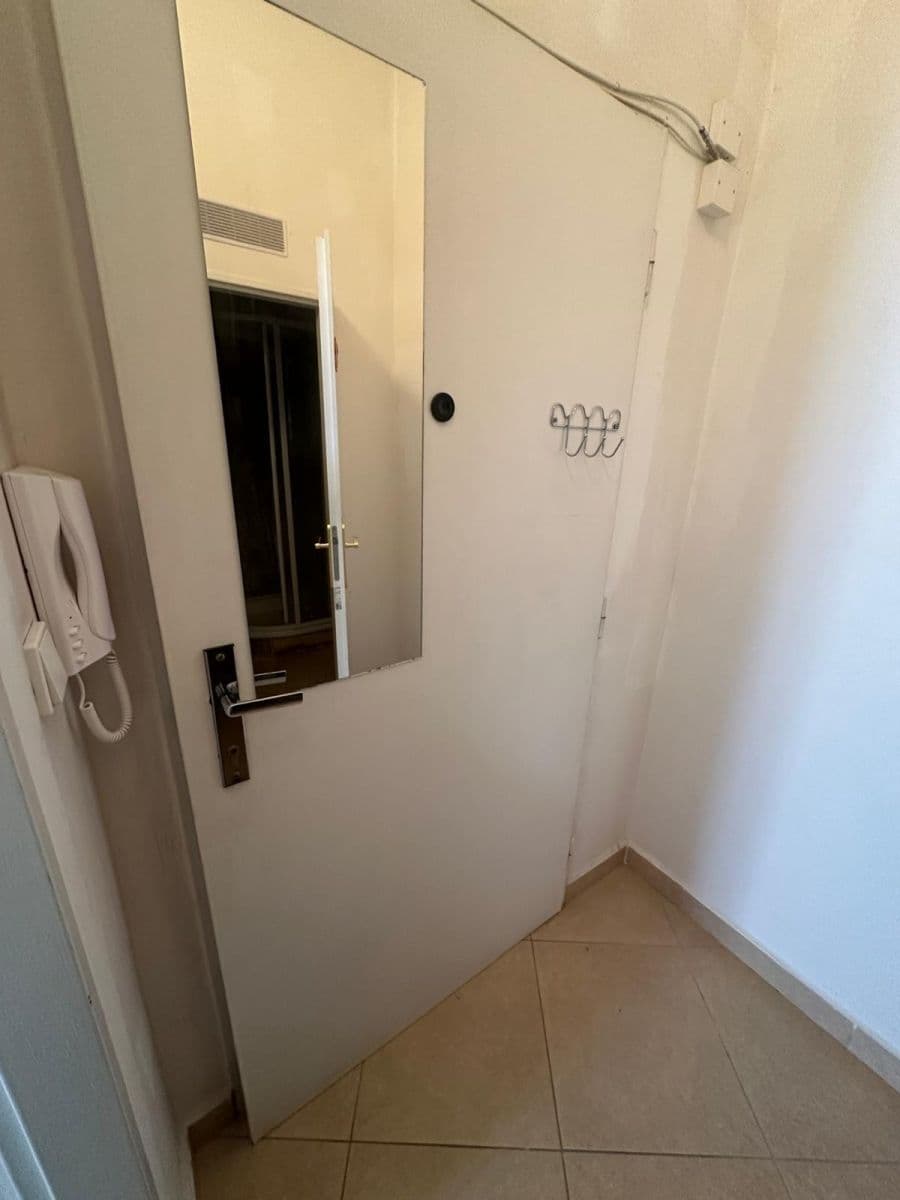 Pronájem bytu 1+1 40 m², Hartigova, Praha, Praha Pronájem bytu 1+1 40 m², Hartigova, Praha, Praha