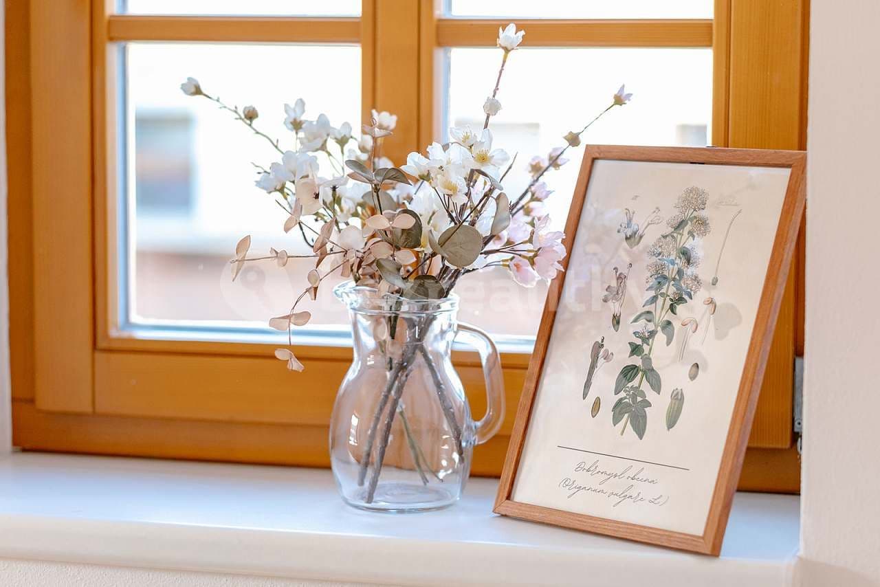 Pronájem chaty, chalupy, Černý Důl, Královéhradecký kraj Pronájem chaty, chalupy, Černý Důl, Královéhradecký kraj