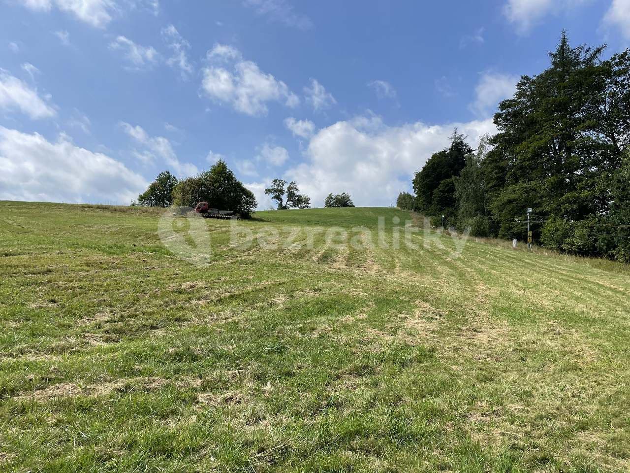 Pronájem chaty, chalupy, Domašov nad Bystřicí, Olomoucký kraj Pronájem chaty, chalupy, Domašov nad Bystřicí, Olomoucký kraj