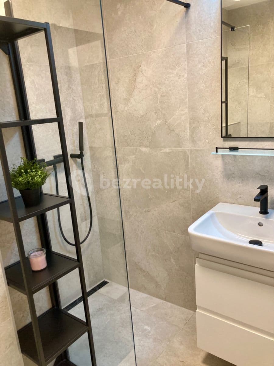 Pronájem bytu 1+kk 26 m², Jánská, Brno, Jihomoravský kraj Pronájem bytu 1+kk 26 m², Jánská, Brno, Jihomoravský kraj