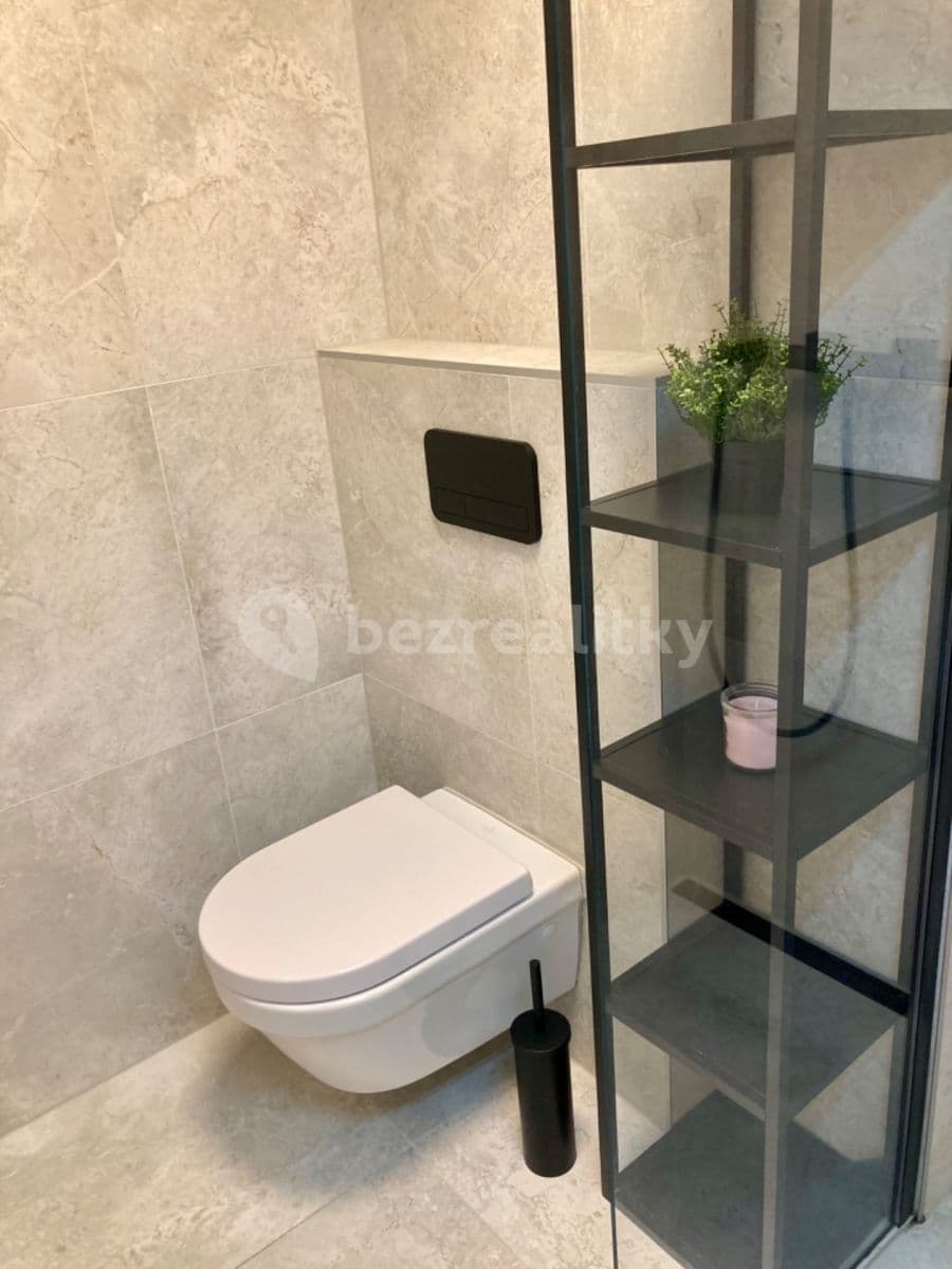 Pronájem bytu 1+kk 26 m², Jánská, Brno, Jihomoravský kraj Pronájem bytu 1+kk 26 m², Jánská, Brno, Jihomoravský kraj