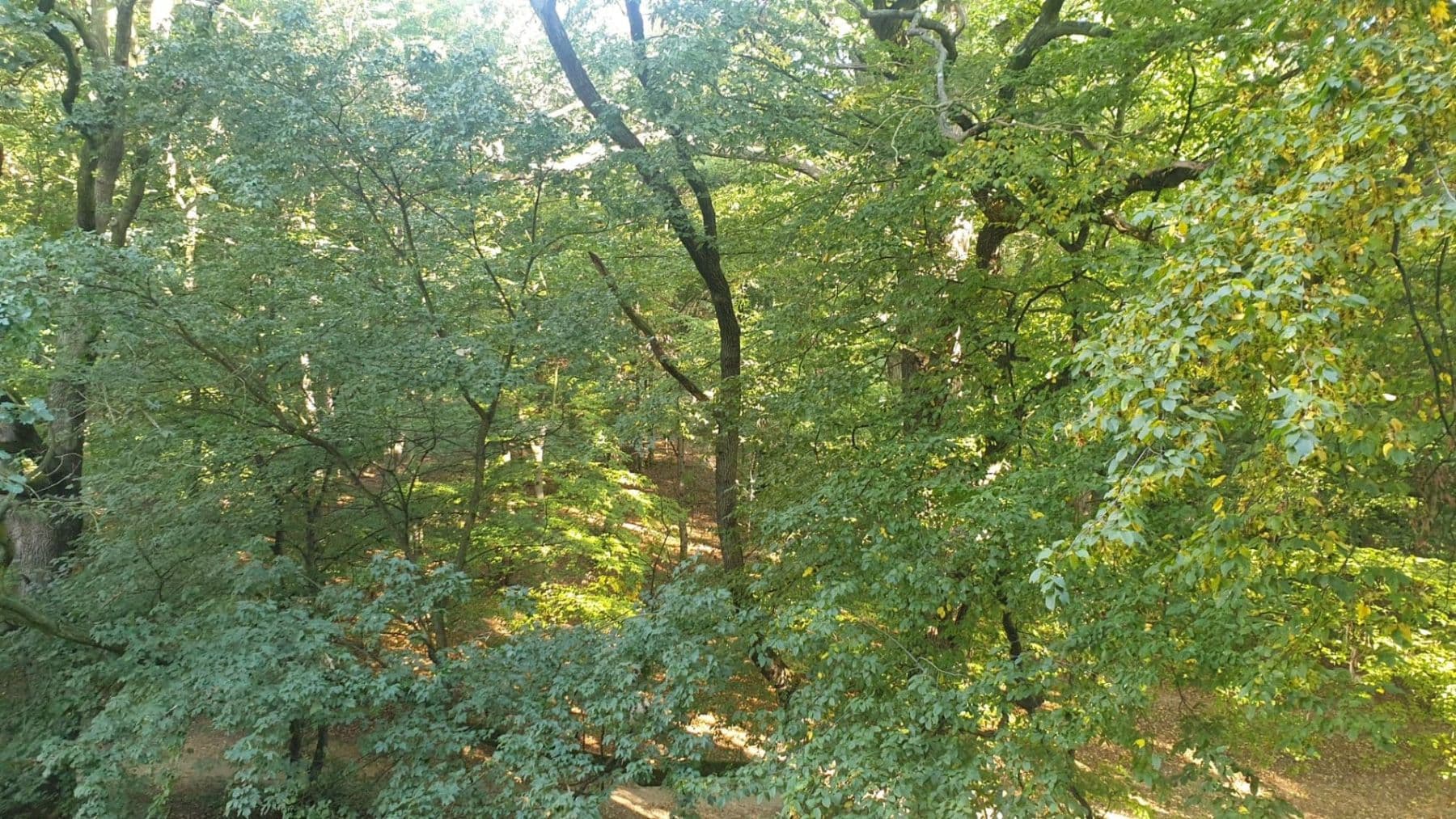 Pronájem bytu 2+1 50 m², Šimůnkova, Praha, Praha Pronájem bytu 2+1 50 m², Šimůnkova, Praha, Praha