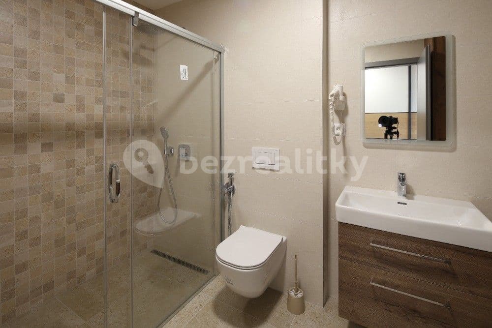 Pronájem bytu 1+kk 42 m², Kamýcká, Praha, Praha Pronájem bytu 1+kk 42 m², Kamýcká, Praha, Praha