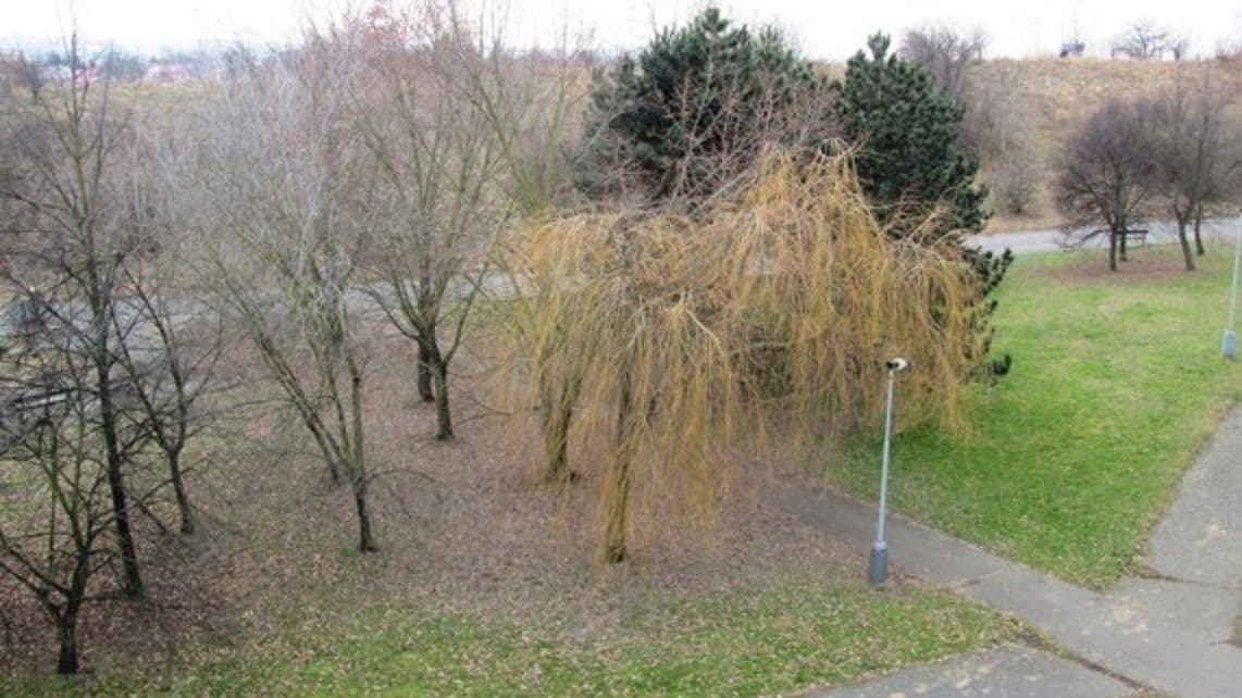 Pronájem bytu 4+kk 90 m², Radimovická, Praha, Praha Pronájem bytu 4+kk 90 m², Radimovická, Praha, Praha