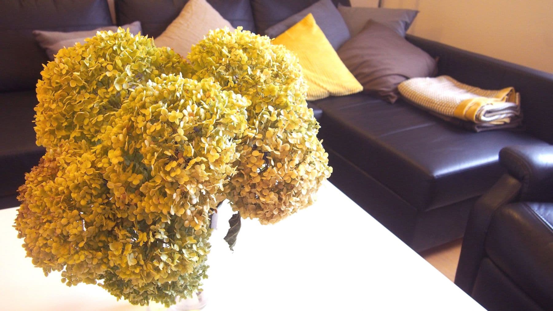 Pronájem bytu 61 m², Kosatcová, Praha, Praha Pronájem bytu 61 m², Kosatcová, Praha, Praha