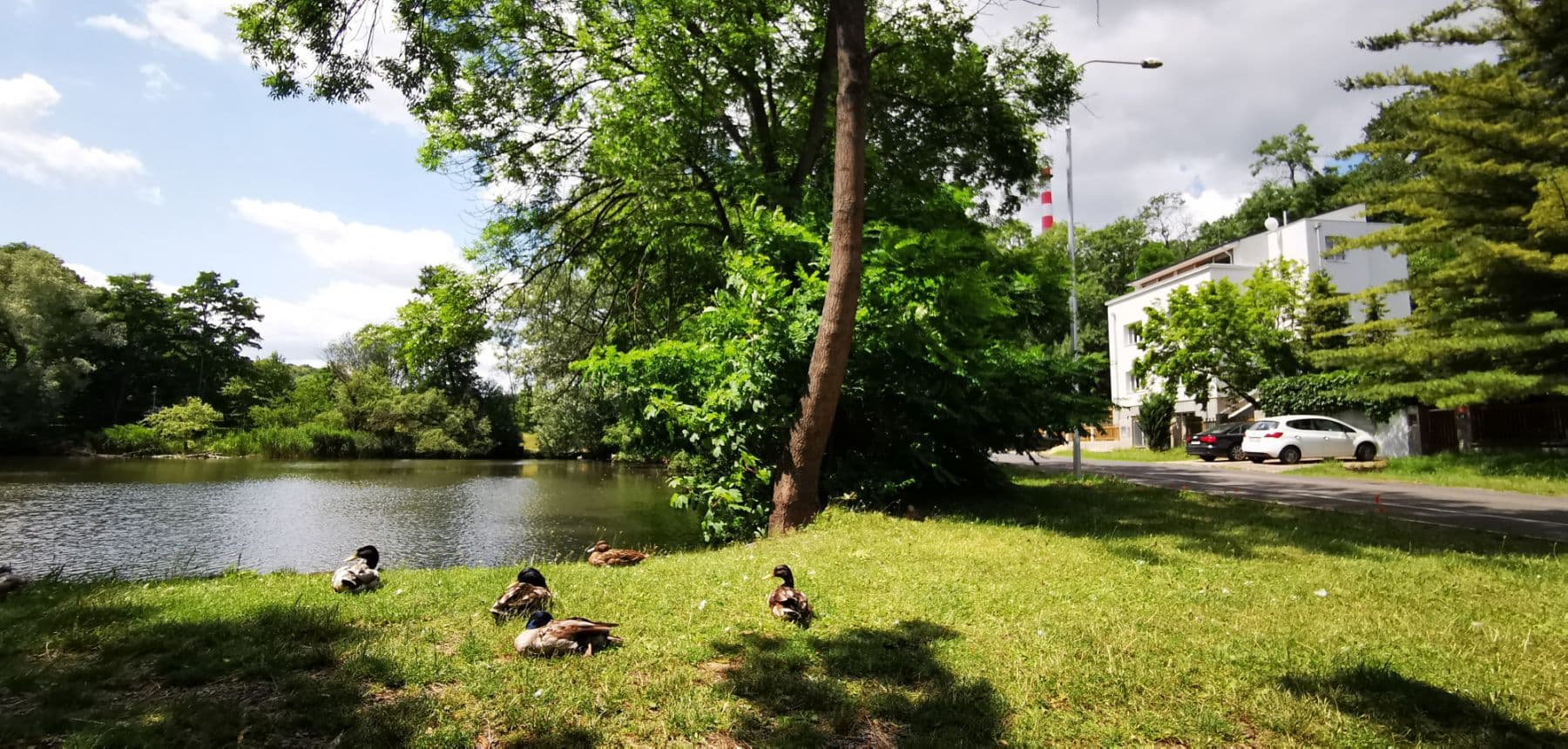 Pronájem bytu 86 m², Zahradníčkova, Praha, Praha Pronájem bytu 86 m², Zahradníčkova, Praha, Praha