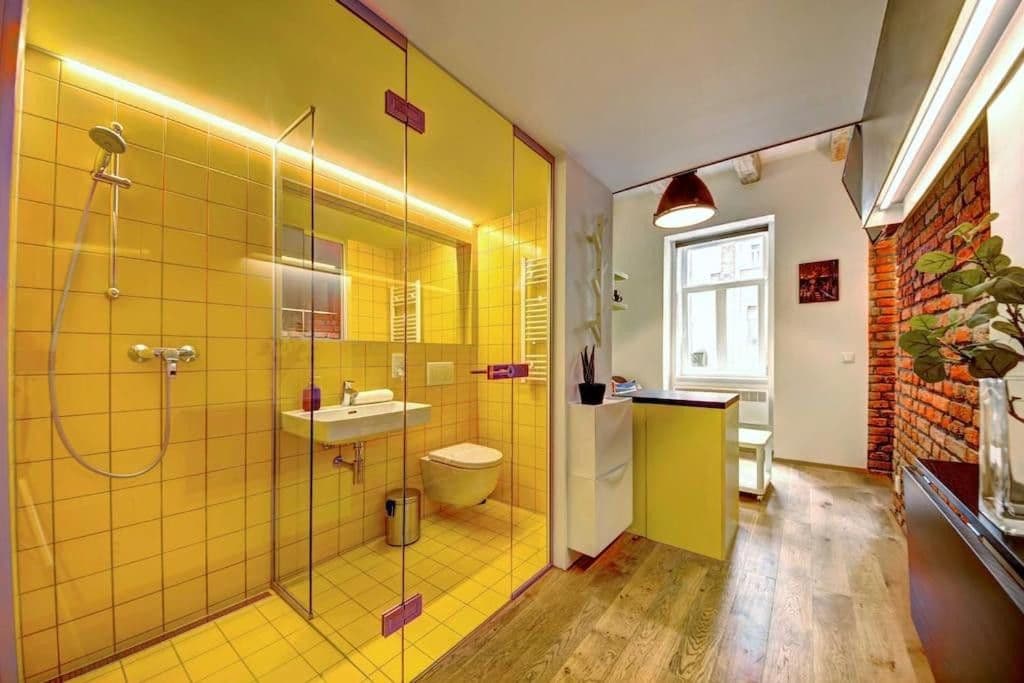 Pronájem bytu 20 m², Vrchlického, Praha, Praha Pronájem bytu 20 m², Vrchlického, Praha, Praha