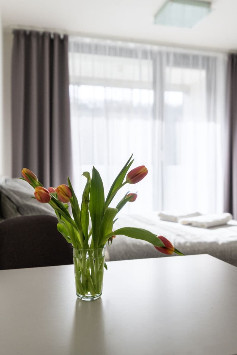 Pronájem bytu 35 m², Hlaváčkova, Praha, Praha Pronájem bytu 35 m², Hlaváčkova, Praha, Praha