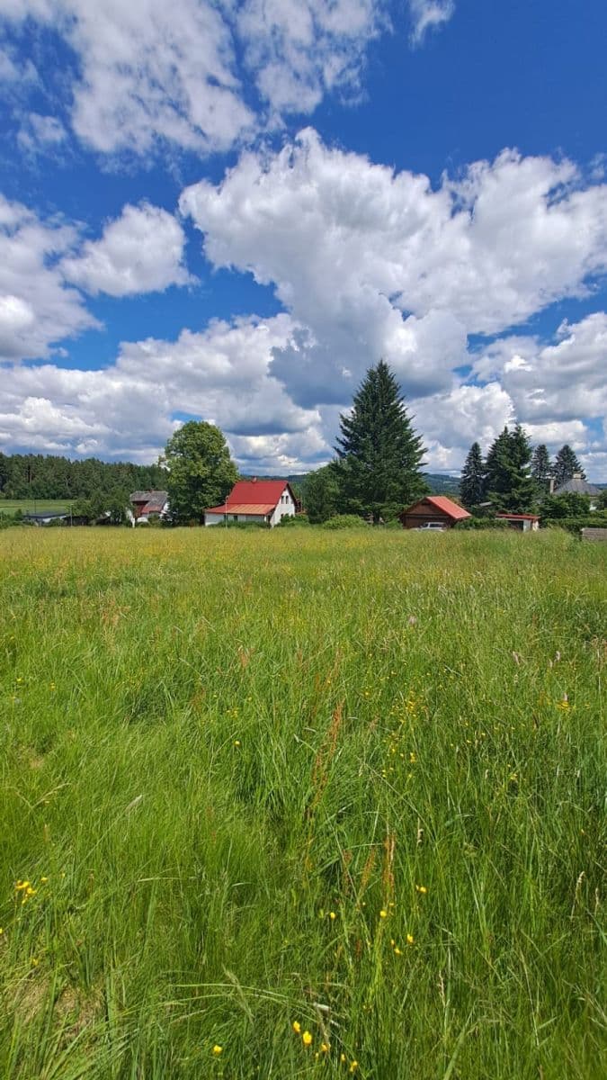 Prodej pozemku 1.293 m², Vlastiboř, Liberecký kraj Prodej pozemku 1.293 m², Vlastiboř, Liberecký kraj