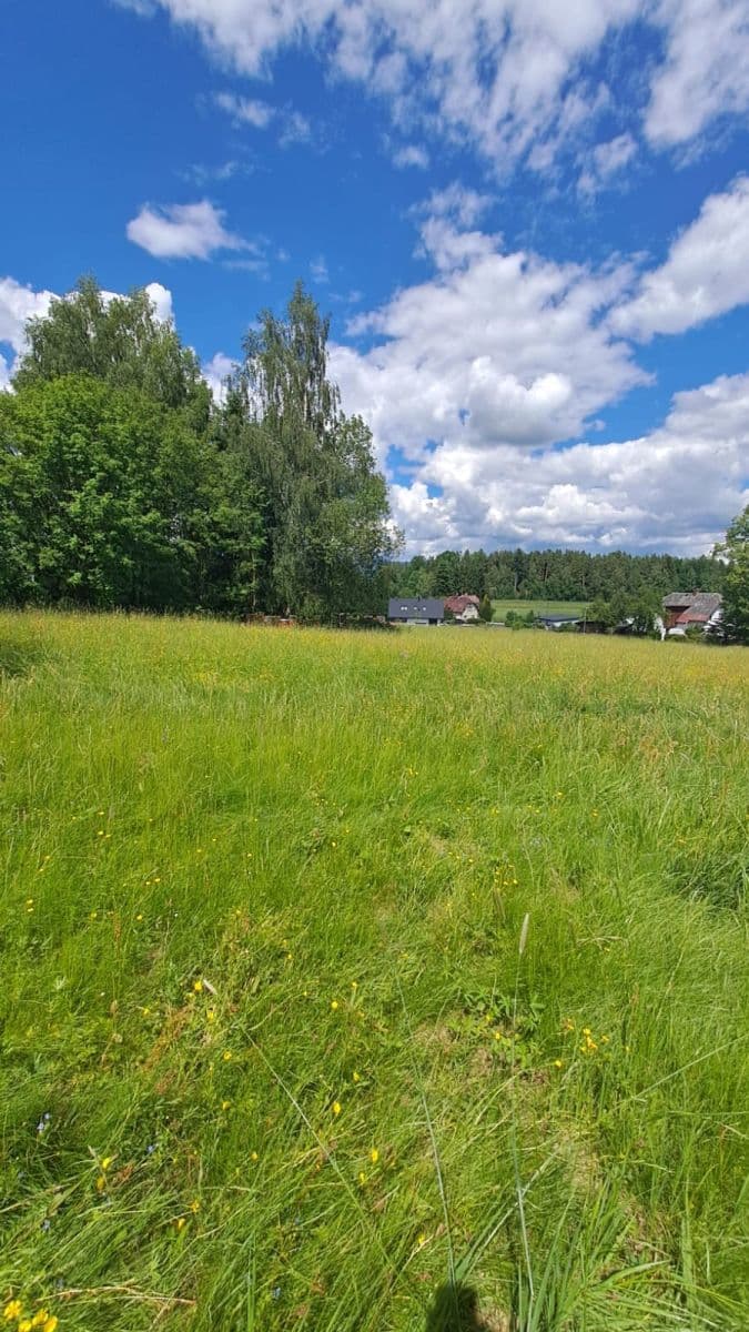 Prodej pozemku 1.293 m², Vlastiboř, Liberecký kraj Prodej pozemku 1.293 m², Vlastiboř, Liberecký kraj