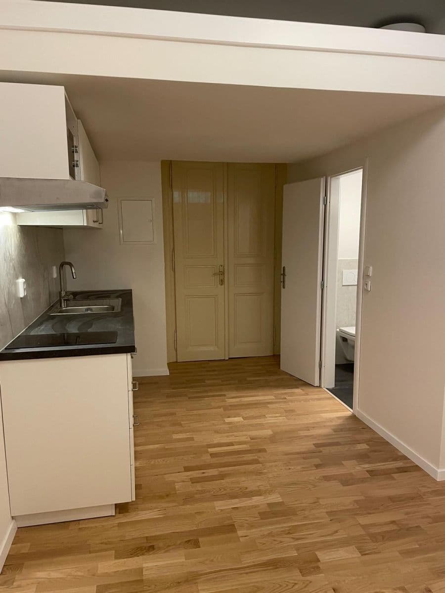 Pronájem bytu 1+kk 19 m², Křížová, Praha, Praha Pronájem bytu 1+kk 19 m², Křížová, Praha, Praha