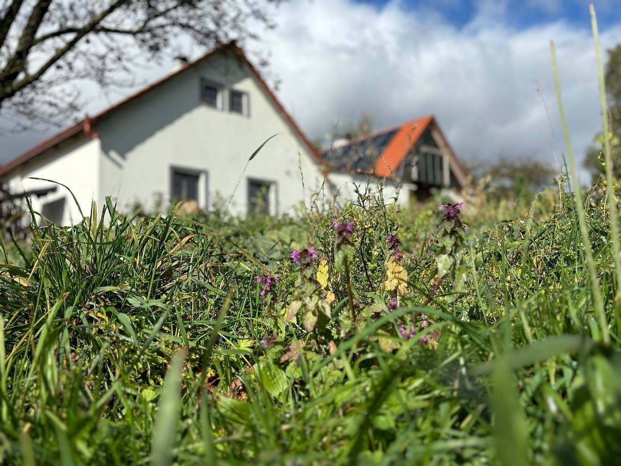 Pronájem chaty, chalupy, Horní Radouň, Jihočeský kraj Pronájem chaty, chalupy, Horní Radouň, Jihočeský kraj