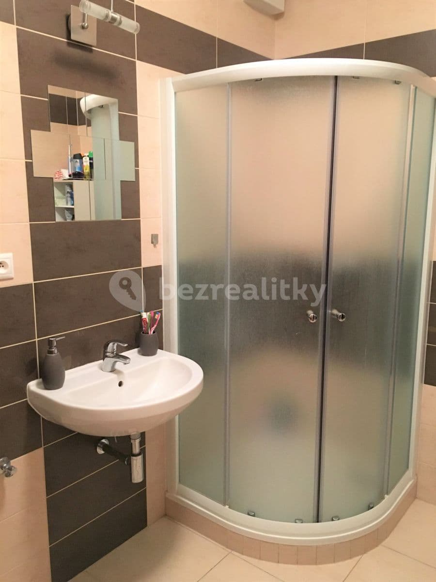 Pronájem bytu 1+kk 41 m², Křepelčí, Brno, Jihomoravský kraj Pronájem bytu 1+kk 41 m², Křepelčí, Brno, Jihomoravský kraj