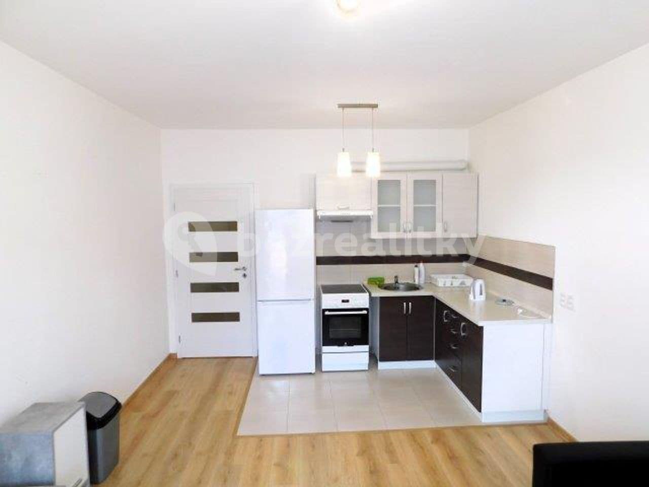 Pronájem bytu 1+kk 45 m², Baráčnická, Ústí nad Labem, Ústecký kraj Pronájem bytu 1+kk 45 m², Baráčnická, Ústí nad Labem, Ústecký kraj