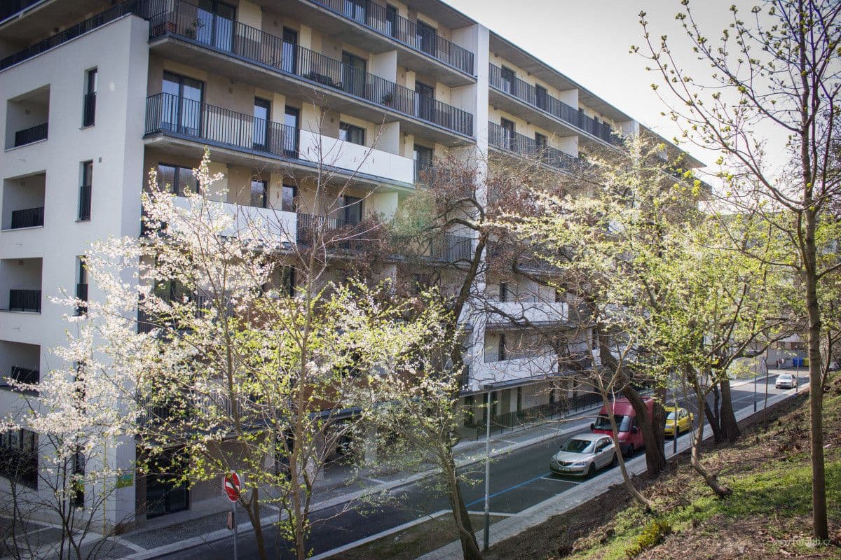 Pronájem bytu 26 m², Kališnická, Praha, Praha Pronájem bytu 26 m², Kališnická, Praha, Praha