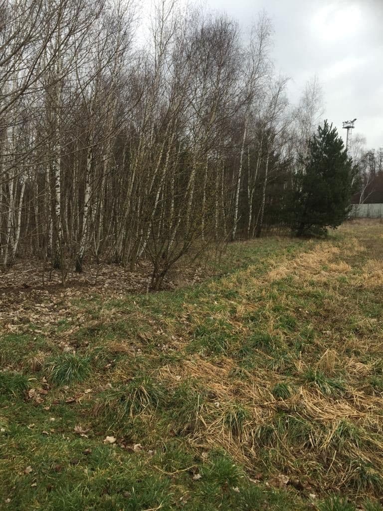 Prodej pozemku 3.522 m², Řečany nad Labem, Pardubický kraj Prodej pozemku 3.522 m², Řečany nad Labem, Pardubický kraj