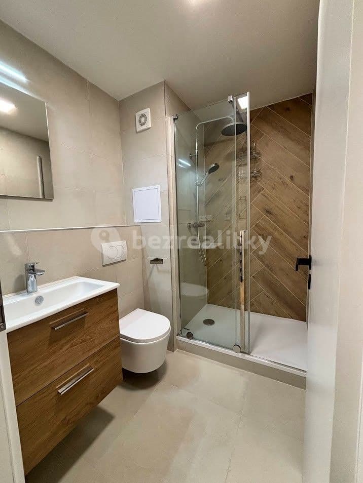 Pronájem bytu 1+1 35 m², Bořivojova, Roudnice nad Labem, Ústecký kraj Pronájem bytu 1+1 35 m², Bořivojova, Roudnice nad Labem, Ústecký kraj
