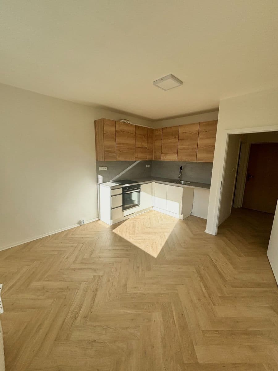Pronájem bytu 1+1 35 m², Bořivojova, Roudnice nad Labem, Ústecký kraj Pronájem bytu 1+1 35 m², Bořivojova, Roudnice nad Labem, Ústecký kraj