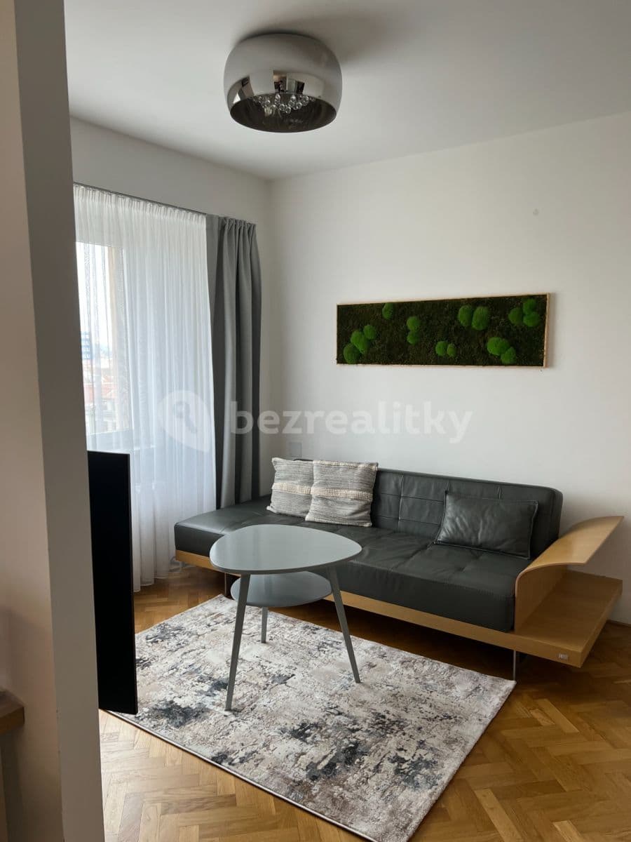 Pronájem bytu 2+kk 66 m², Botanická, Brno, Jihomoravský kraj Pronájem bytu 2+kk 66 m², Botanická, Brno, Jihomoravský kraj