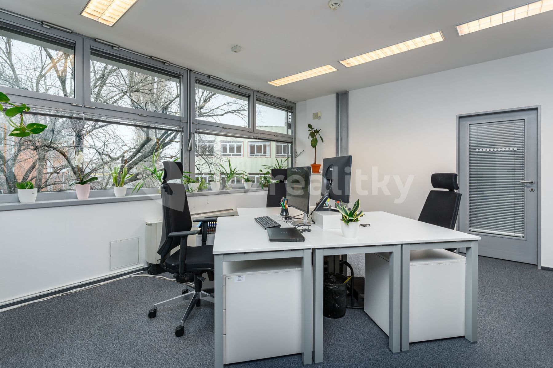 Pronájem kanceláře 450 m², Plynárenská, Brno, Jihomoravský kraj Pronájem kanceláře 450 m², Plynárenská, Brno, Jihomoravský kraj