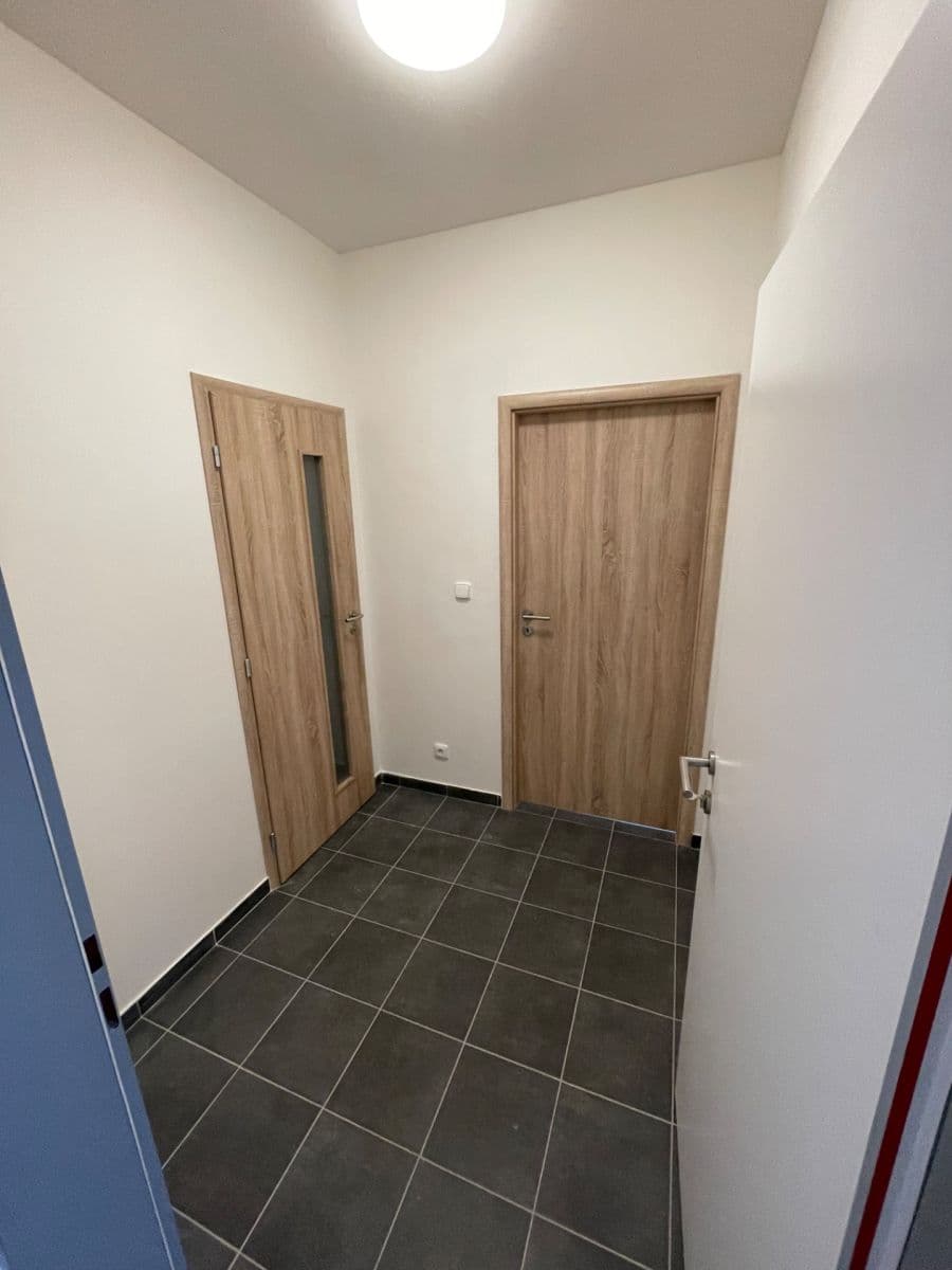 Pronájem bytu 1+kk 30 m², Ptice, Středočeský kraj Pronájem bytu 1+kk 30 m², Ptice, Středočeský kraj