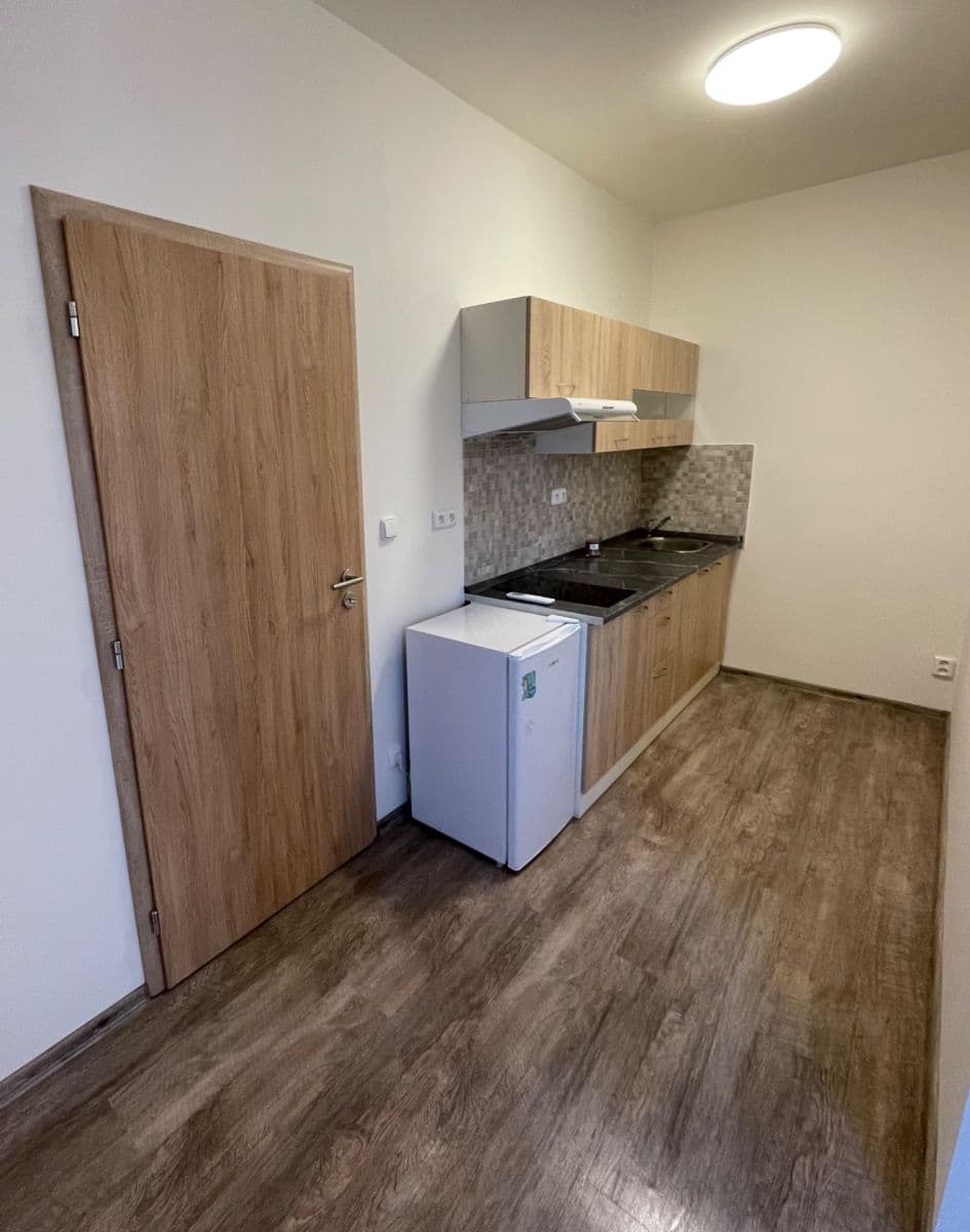 Pronájem bytu 1+kk 30 m², Ptice, Středočeský kraj Pronájem bytu 1+kk 30 m², Ptice, Středočeský kraj